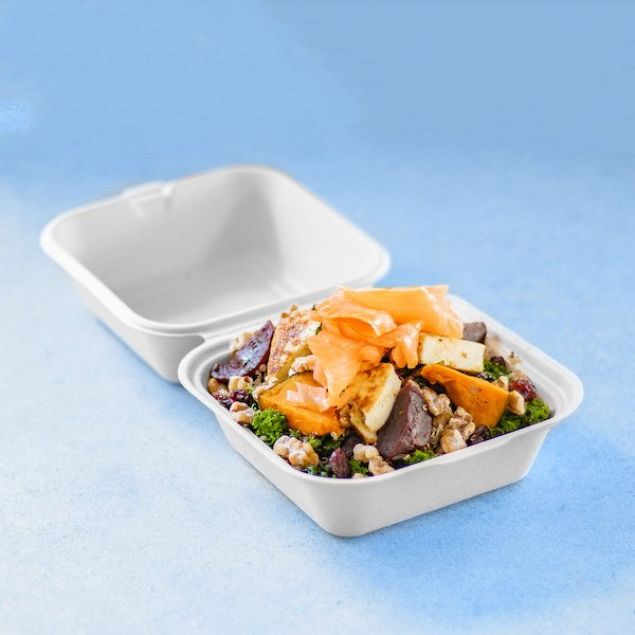 "The Energizer" Salad Box with Salmon